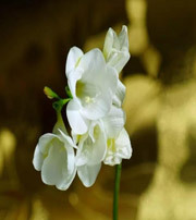 吕梁十二生肖看看你的幸运数字是什么吧！