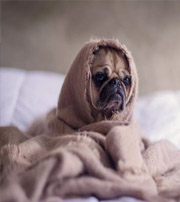 吕梁有这样的手机号码，留不住钱，你中枪了吗？