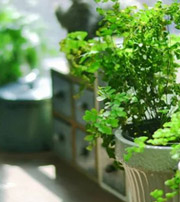 吕梁专属于你的开运指南，助你鸿运当头福满身！