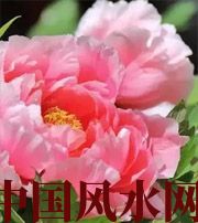 吕梁预示你财运上升，姻缘可成的梦境，快来看看吧！