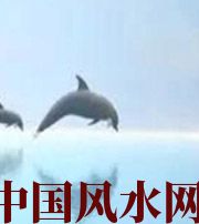 吕梁做梦梦到这些，是要富裕的征兆！